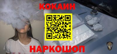 стаф Дубна