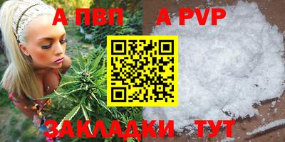 стаф Дубна
