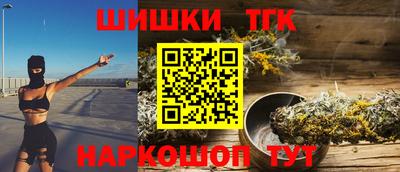 стаф Дубна