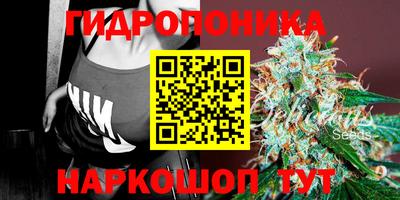 стаф Дубна