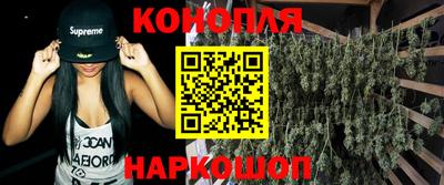 стаф Дубна