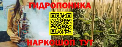 стаф Дубна