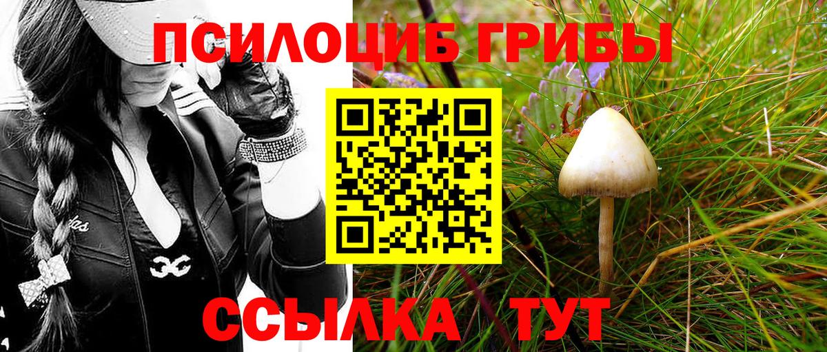Галлюциногенные грибы Cubensis Клин