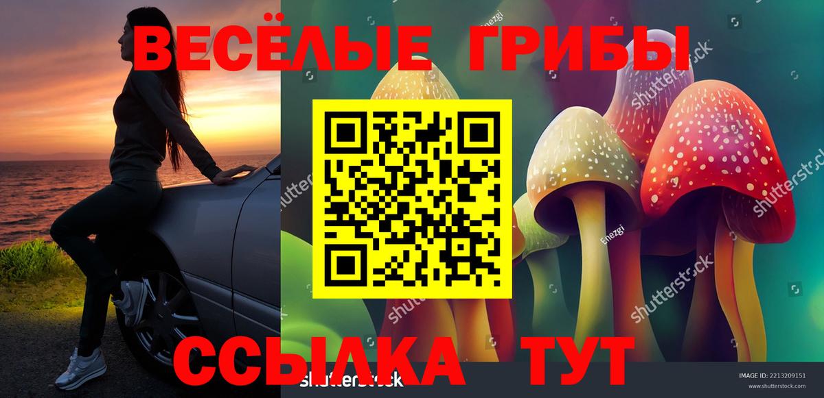 Галлюциногенные грибы GOLDEN TEACHER Клин