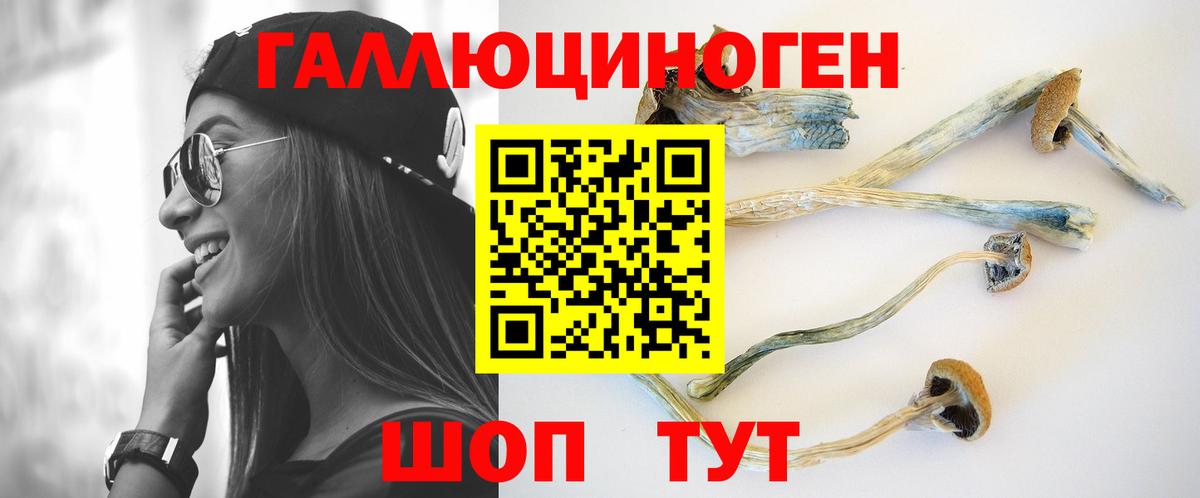 Галлюциногенные грибы Magic Shrooms  Галлюциногенные грибы мухоморы  Вход с VPN  Клин 