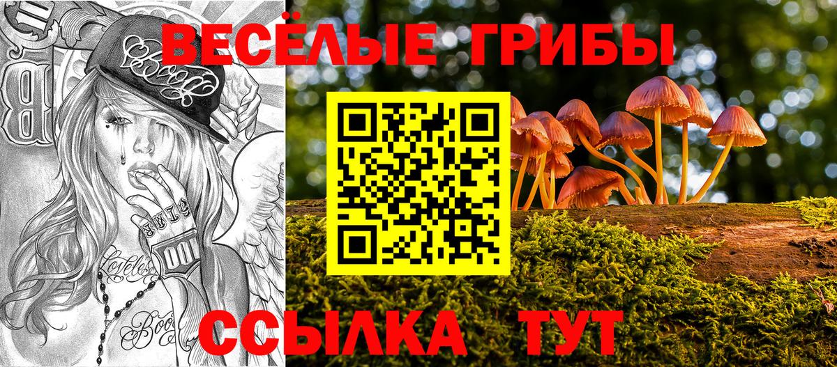 Псилоцибиновые грибы Psilocybe  Галлюциногенные грибы Psilocybe  Клин 
